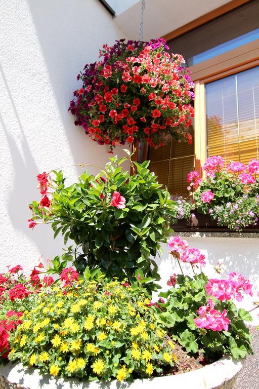Gaesteheim Anni Winkler Hintertux Ngoại thất bức ảnh